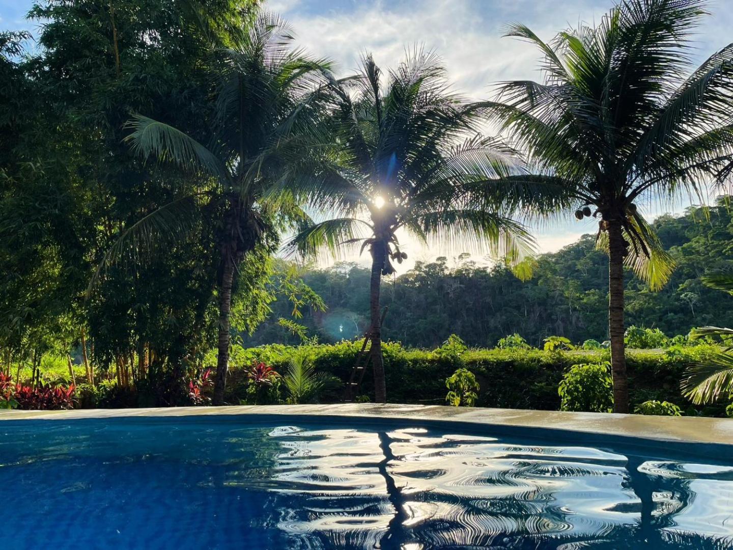 Lobo Hostel - Rurrenabaque (Adults Only) Экстерьер фото