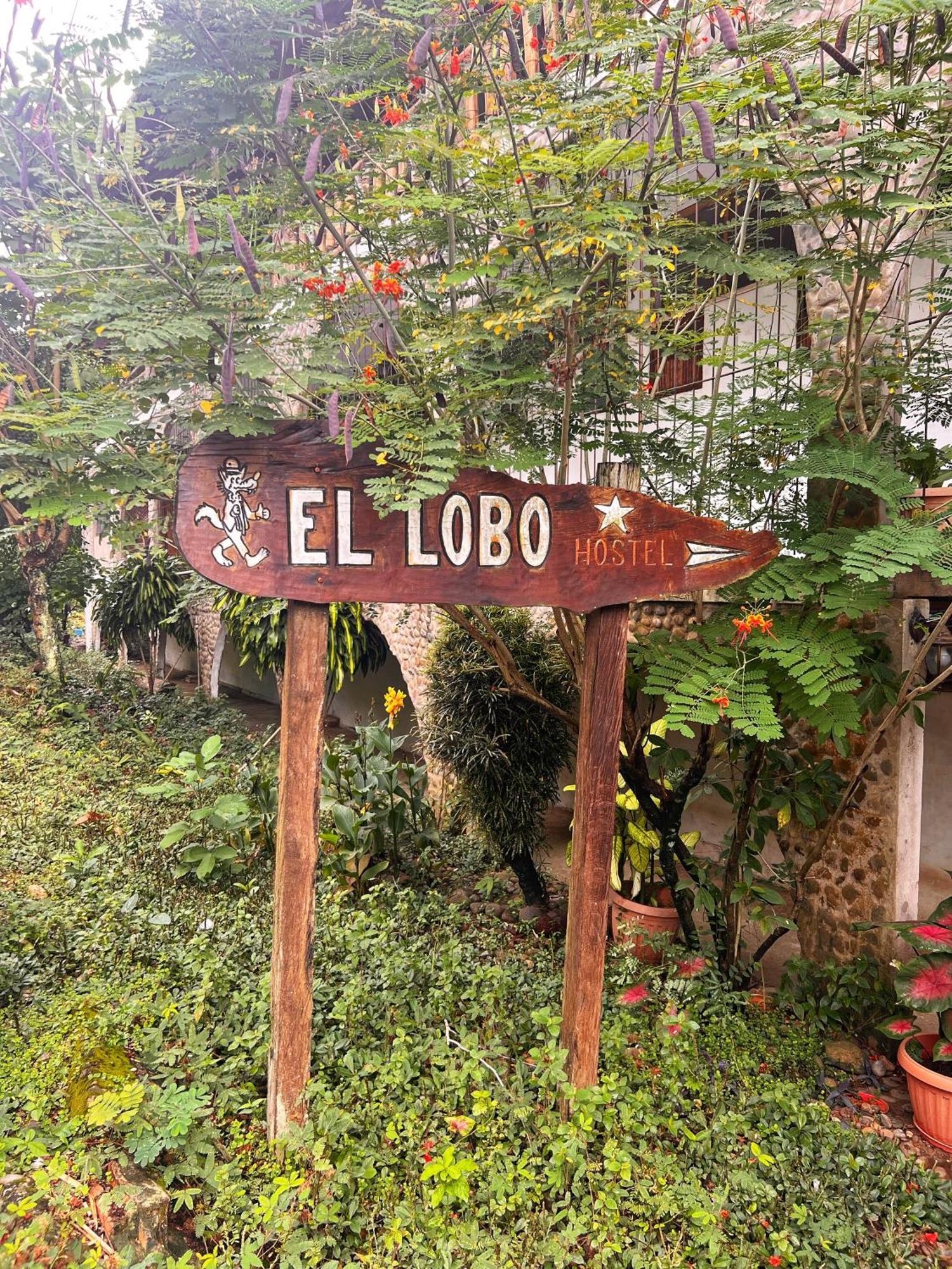 Lobo Hostel - Rurrenabaque (Adults Only) Экстерьер фото