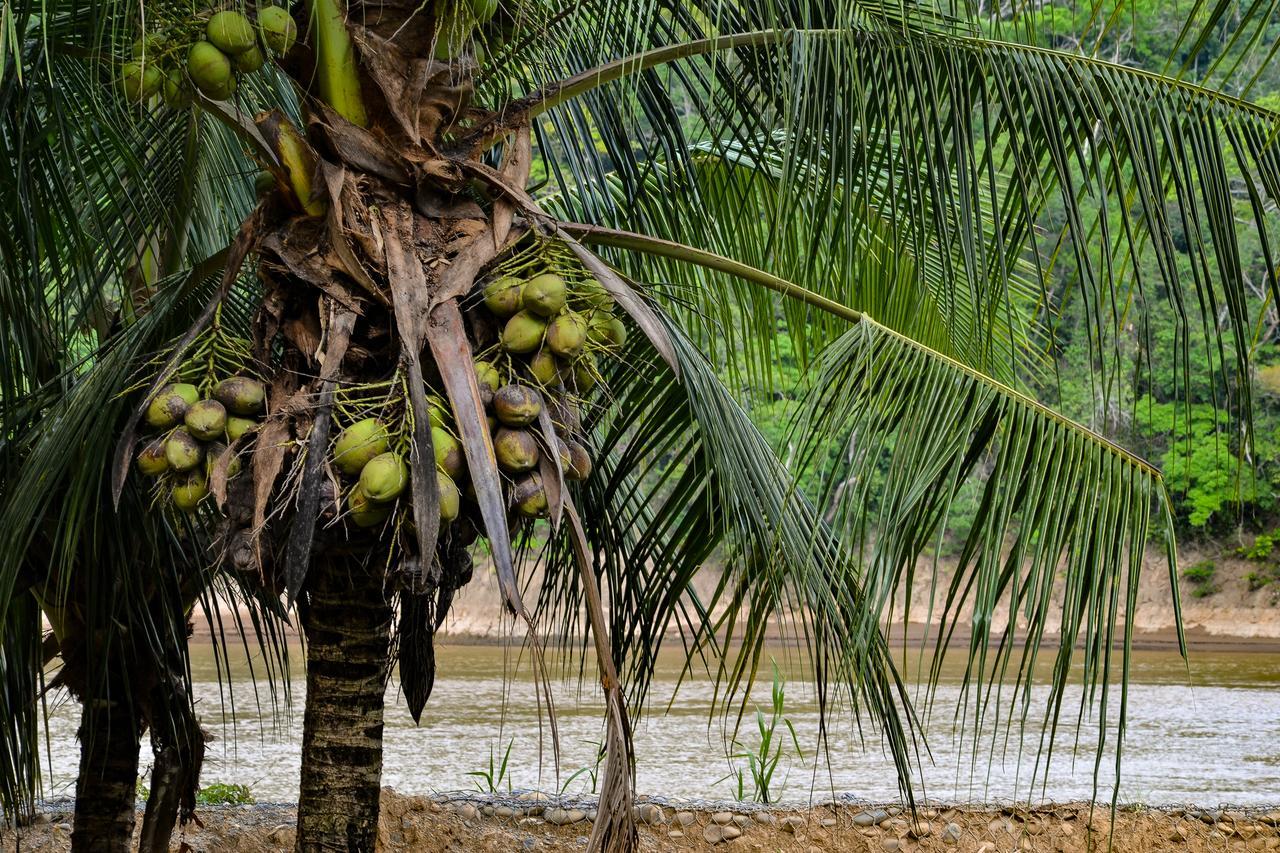 Lobo Hostel - Rurrenabaque (Adults Only) Экстерьер фото